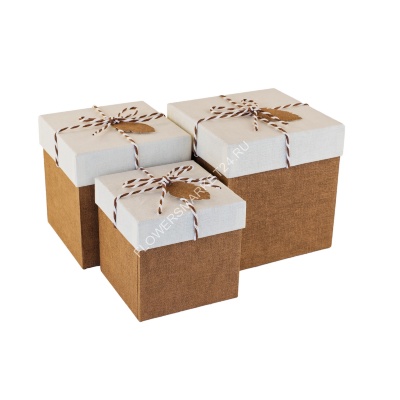Подарочная коробка (цвет: белый / коричневый)