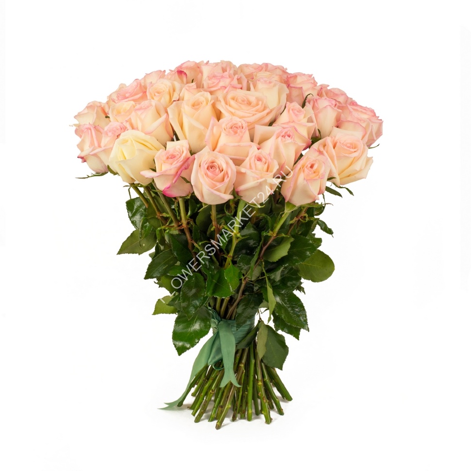 Букет из 30 роз (Amarena) - Цветочный Маркет 24 в Москве