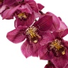 Орхидея Цимбидиум розовая (70 см)