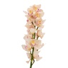 Орхидея Цимбидиум белая (70 см)