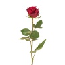 Роза Мадам Ред (70 см)